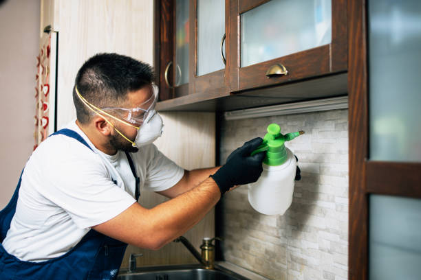 Best Pest Control Cost  in North Manchester, IN