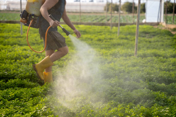 Best Mosquito Control Services  in North Manchester, IN