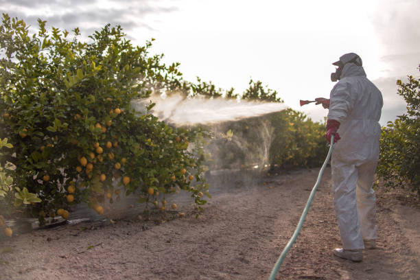 Best Pest Control for Homes  in North Manchester, IN