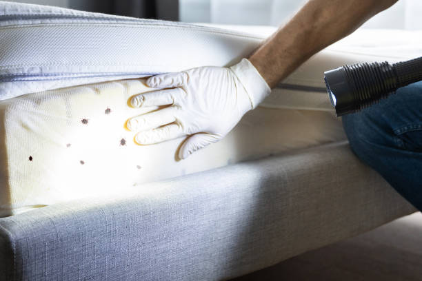 Reliable North Manchester, IN Pest Control Solutions