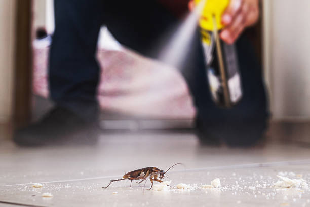 Best Best Pest Control Companies  in North Manchester, IN