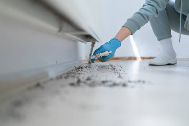 Best Emergency Pest Control  in North Manchester, IN