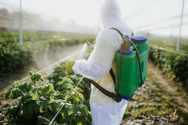 Best Residential Pest Control  in North Manchester, IN